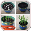 ”พืชเจริญเติบโต DIY - การสอน