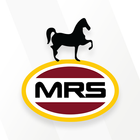 MRS eShop icône