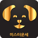 미스터운세  (무료 운세 사주 궁합 토정비결 2020) APK