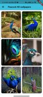 Peacock Wallpapers ภาพหน้าจอ 1