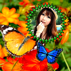 Butterfly Photo Frames Zeichen
