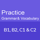 Grammar & Vocabulary Practice icône