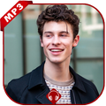 Shawn Mendes