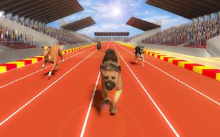 Pet Vet Dog Racing - Dog Run Racing Fever 스크린샷 2