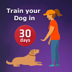 Dog Training & Tricks icône