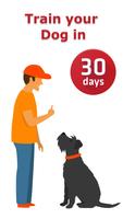 Dog Training & Tricks Affiche