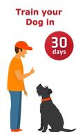 Dog Training & Tricks poster
