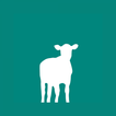 Feedlot Atlas