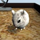 Hamster3D icon