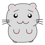 Hamster