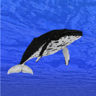 Whale training icon