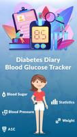 Diabetes Diary - Blood Glucose Affiche