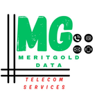 Meritgolddata icon