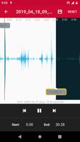 Audio Recorder imagem de tela 3
