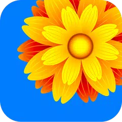 Gallery APK Herunterladen