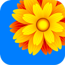 Gallery APK