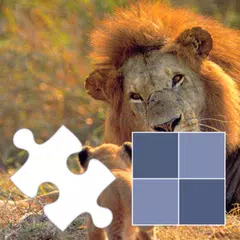 Baixar Jigsaw and memory with animals APK