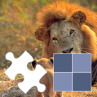 Jigsaw and memory with animals icône