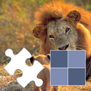 Jigsaw and memory with animals APK