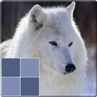 Match Animals Game icon