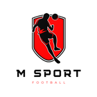 M Sport ikona