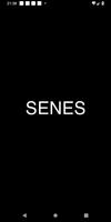 Senes پوسٹر