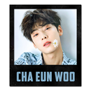 Twibbon Frame Cha Eun Woo HD APK