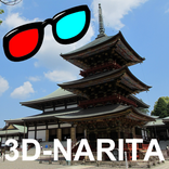 3D Photo Book [3D-NARITA]