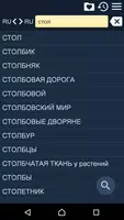 Большой Энциклопедич. Словарь poster
