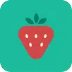 APK BLW Meals: Starting Solids