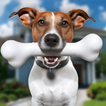 ”Animal Shelter Pet Vet Rescue