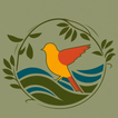 Birds Name and Pictures