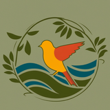 Birds Name and Pictures biểu tượng
