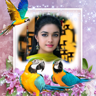 Parrot Photo Frame icono