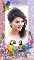 Parrot Photo Frame captura de pantalla 3