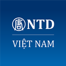 NTD Việt Nam APK