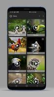Animal Sounds - Ringtones 截圖 1