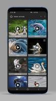 Animal Sounds - Ringtones 截圖 2