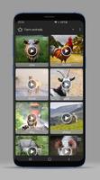 Animal Sounds - Ringtones 截圖 3
