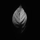 Black Wallpapers - Black & Dark APK