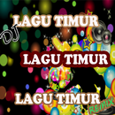 Lagu Timur DJ Viral Offline APK