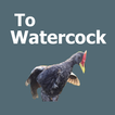 Suara Watercock