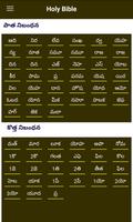Telugu Holy Bible with Audio, Pictures, Verses imagem de tela 2
