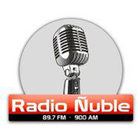 Radio Ñuble icône