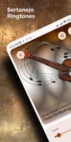 Musica caipira poster