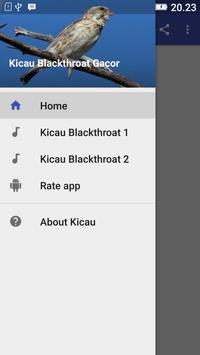 Download Kicau Blackthroat Gacor Apk For Android Latest Version