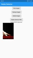 برنامه‌نما Nudes Detector عکس از صفحه