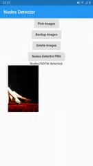 Nudes Detector XAPK download