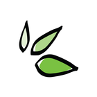 Herbal ícone
