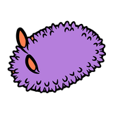 nudi.io - nudibranch id